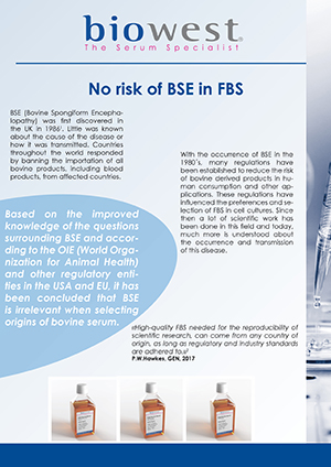 FLYER BIOWEST NO RISK OF BSE IN FBS