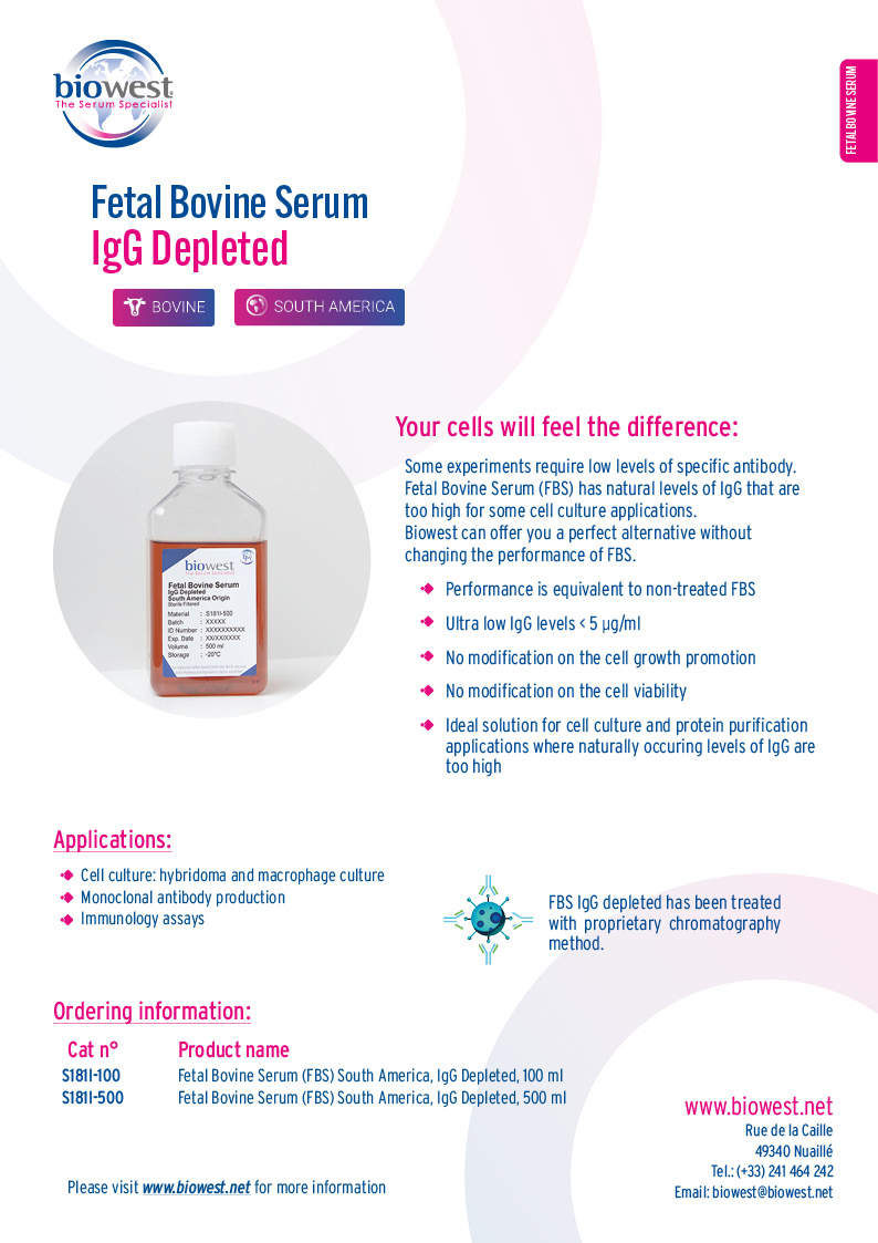 Flyer IgG Depleted - Biowest