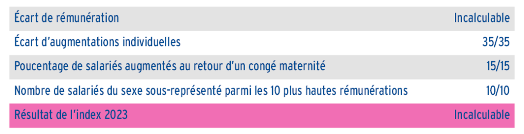 index égalité professionnelle femmes hommes