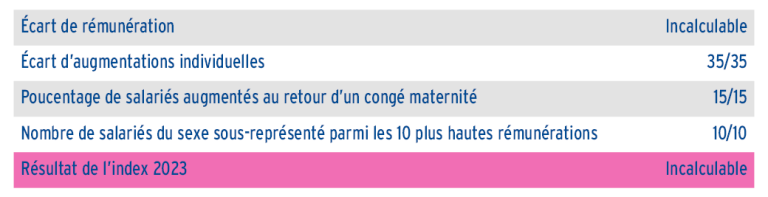 index égalité professionnelle femmes hommes