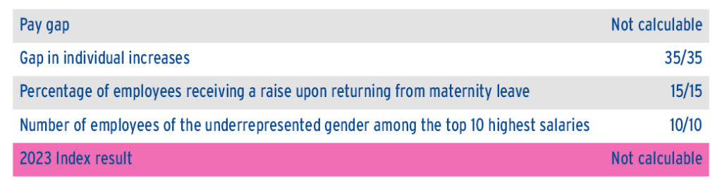 index égalité professionnelle femmes hommes anglais